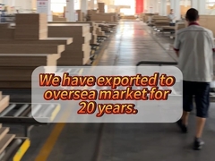 20 বছর উত্পাদন কারখানা