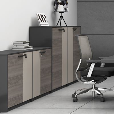 Office Furniture, Fashionable And Simple, File Cabinet, Thickened With Lock Layer Board, Office Cabinet