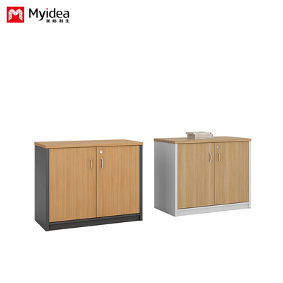 Double Door with Key Lock, Large Capacity Filing Cabinet, Wall Mounted Low Cabinet, Customizable Classified FilingCabinet