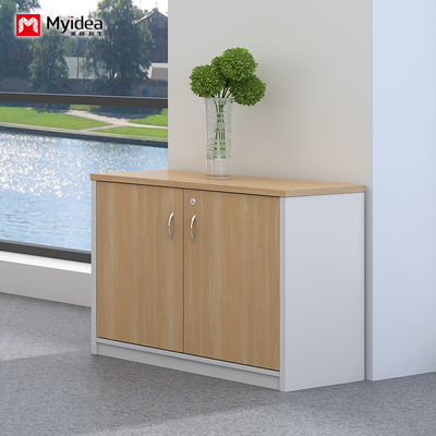Double Door with Key Lock, Large Capacity Filing Cabinet, Wall Mounted Low Cabinet, Customizable Classified FilingCabinet